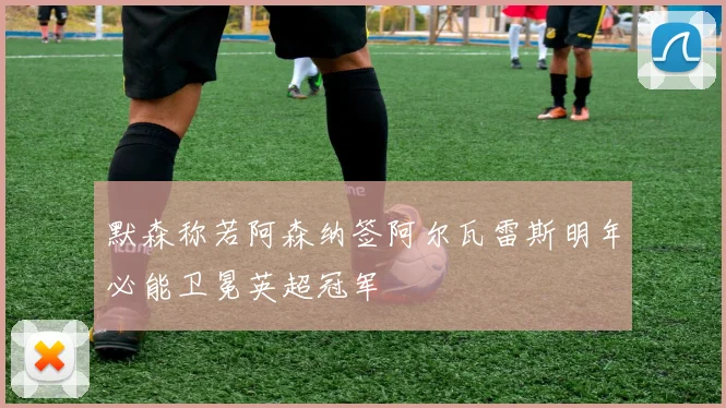 默森称若阿森纳签阿尔瓦雷斯明年必能卫冕英超冠军