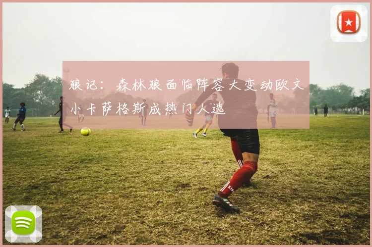 狼记：森林狼面临阵容大变动欧文小卡萨格斯成热门人选